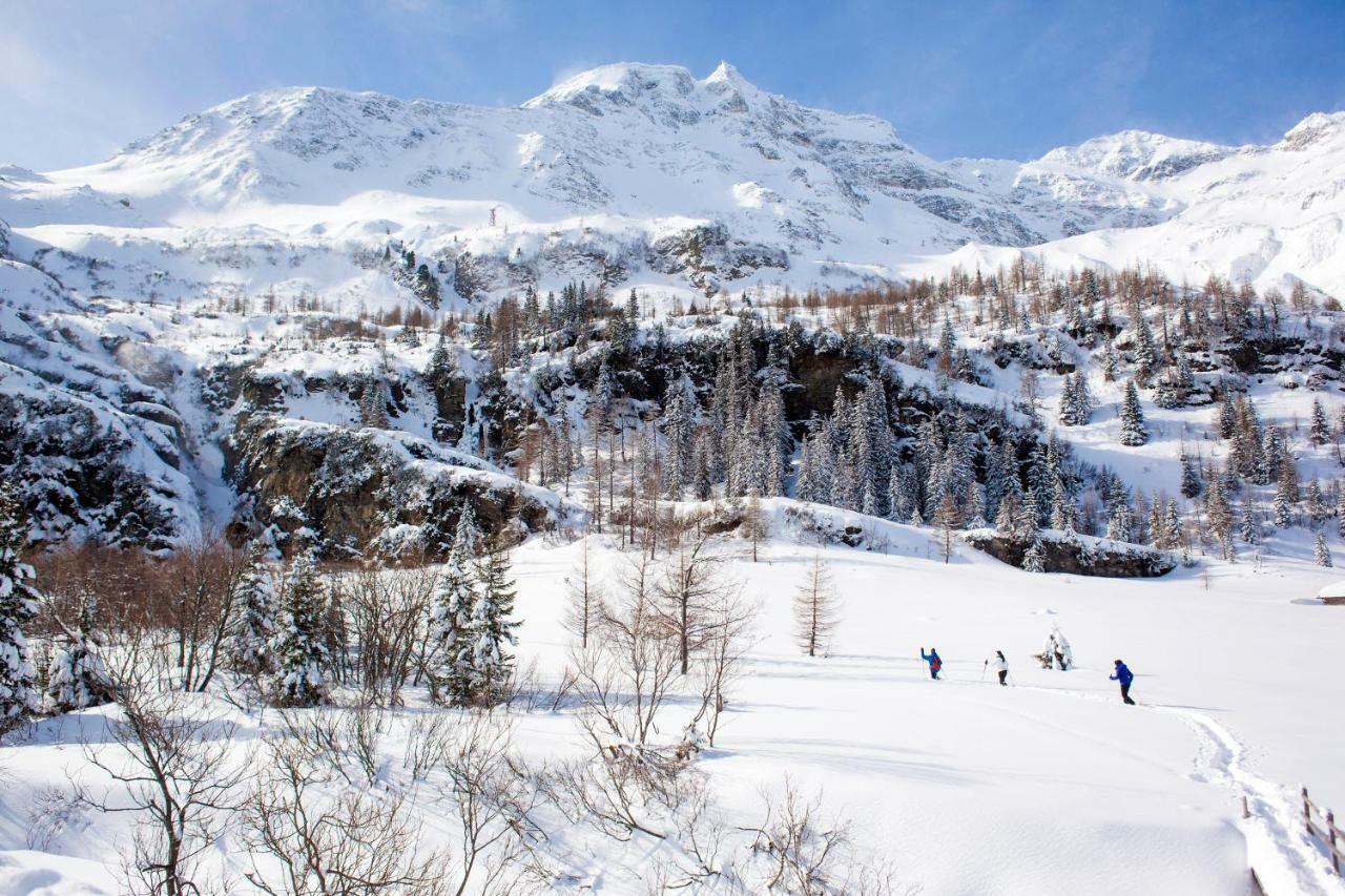 Landhaus Scherer Bed & Breakfast Rauris Dış mekan fotoğraf
