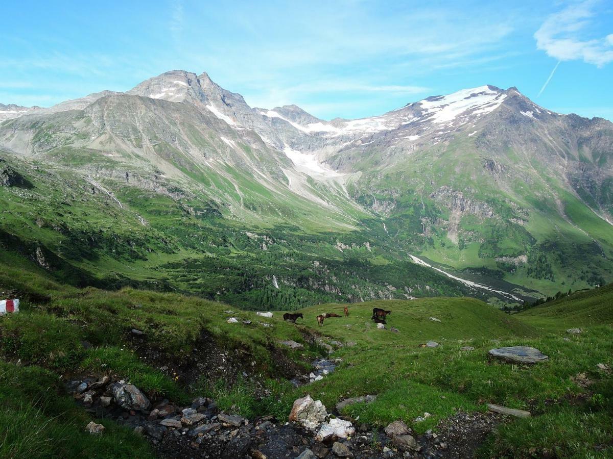 Landhaus Scherer Bed & Breakfast Rauris Dış mekan fotoğraf